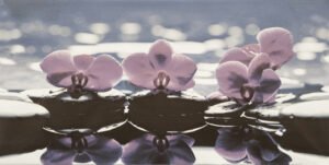 30X60 ORKİDE LİLA DEKOR