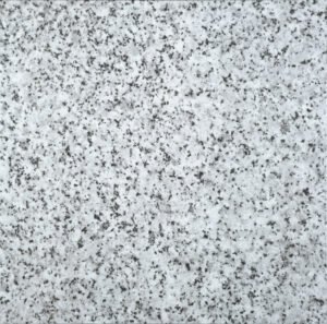 Granit Gri Parlak 60x60