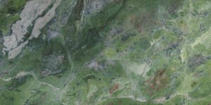 Paradise Rain Forrest Green Parlak 60x120