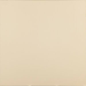 Sahra Bone Parlak 60x60