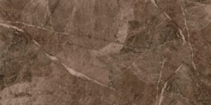 Atlantis Kahve 60x120 Parlak(1)