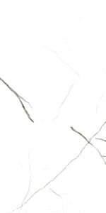 30x60 Ayazma Fon Beyaz